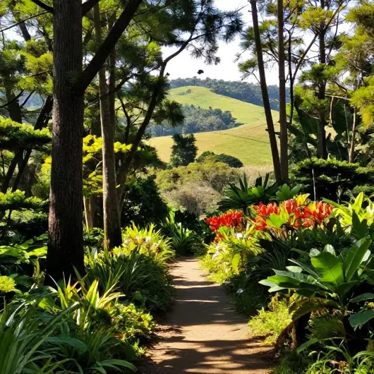Descubra o Parque das Trilhas Descubra o Parque das Trilhas