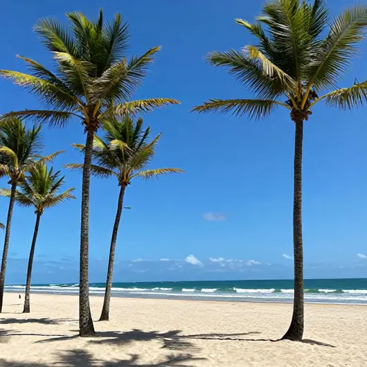 Fortaleza Traslados: Seu Guia para o Transporte na Praia do Cumbuco Fortaleza Traslados: Seu Guia para o Transporte na Praia do Cumbuco