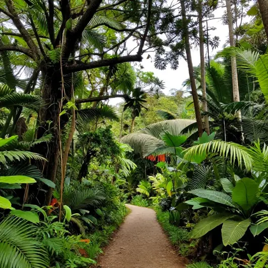 Sesc Iparana Reserva Natural